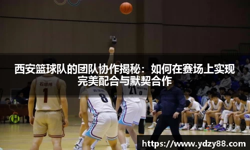 彩神VI首页